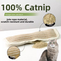 Catnip